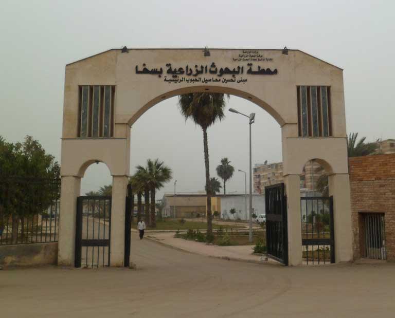 محطة بحوث سخا